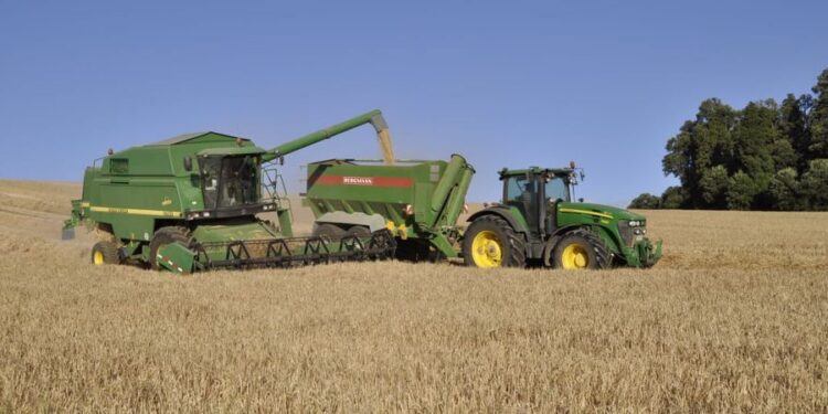 Especialistas advierten que producción de cultivos disminuirá un 20% durante la temporada