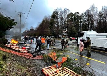 Una persona detenida deja manifestación en ruta en sector Neltume de Panguipulli
