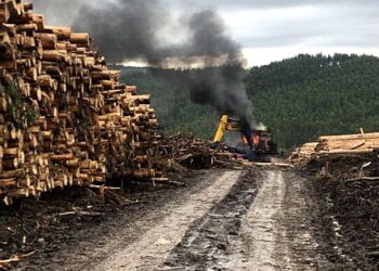 Ataque incendiario dejó maquinaria forestal siniestrada en San Juan de la Costa