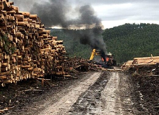 Ataque incendiario dejó maquinaria forestal siniestrada en San Juan de la Costa