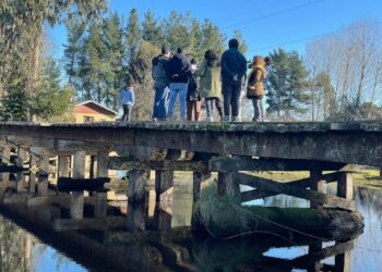 Aprueban más de 15 millones para apoyar a organizaciones de Osorno