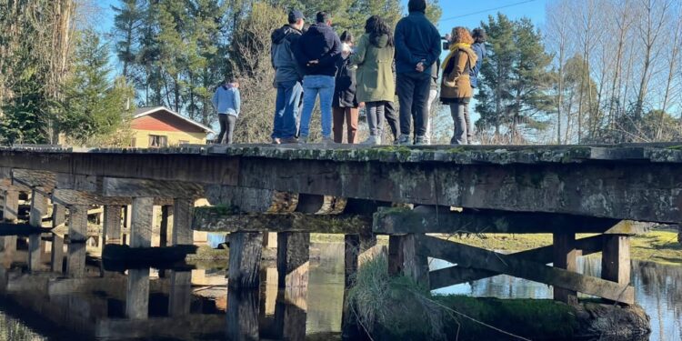 Aprueban más de 15 millones para apoyar a organizaciones de Osorno