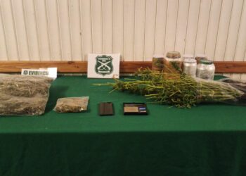Operativos en San Pablo y Puerto Montt dejan dos detenidos por tráfico de drogas 