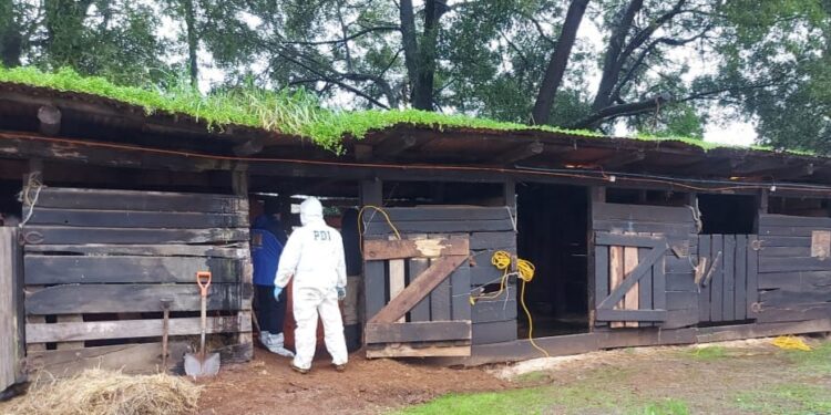 Osorno: Tras 24 años, hombre confesó que mató a su esposa y dijo sitio donde estaban sus osamentas