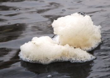 Red Ambiental Ciudadana de Osorno acusa nueva contaminación en río Damas 