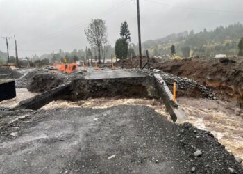 Caída de puente en Puyehue dejó a cerca de 20 familias aisladas: se reestableció tránsito