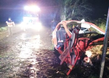 Conductor falleció tras colisionar contra árbol este domingo en Río Bueno 