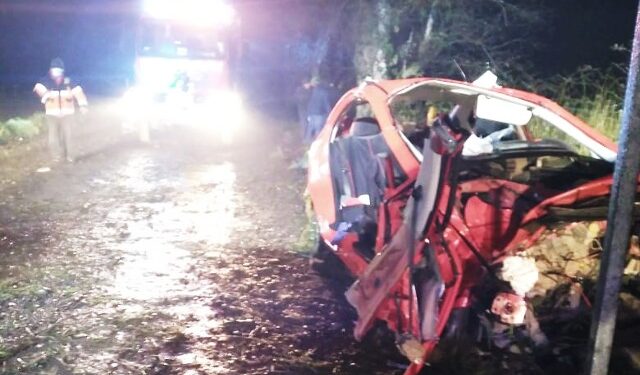 Conductor falleció tras colisionar contra árbol este domingo en Río Bueno 