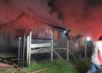 Incendio deja 5 damnificados en ruta 215 camino a Puyehue