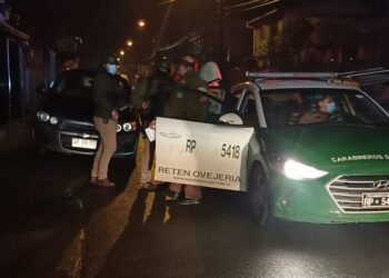 Detienen a sujeto de 20 años involucrado en robo a minimarket en Osorno