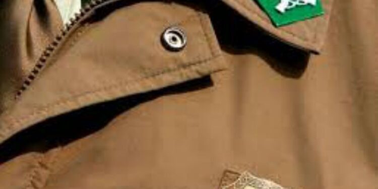 Hombre muere tras ser atropellado en ruta que une Valdivia y Paillaco