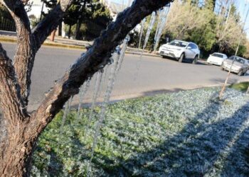 Meteorología advierte heladas hasta el domingo en la región: Osorno se mantendrá en -4
