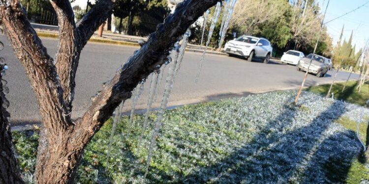 Meteorología advierte heladas hasta el domingo en la región: Osorno se mantendrá en -4