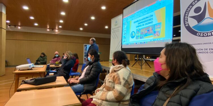 Agrupación de Emprendedores Unidos de Osorno realizaron primera Asamblea Anual de Socios 