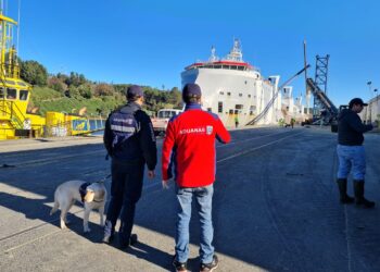 Operadores del comercio exterior en la región son capacitados por Aduanas