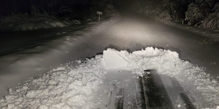 Suspenden tránsito en paso Cardenal Samoré por caída de nieve: evaluarán este martes 