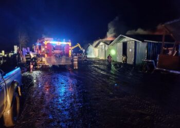 Incendio destruyó tres galpones en Río Bueno: pérdidas superan los 3 mil millones de pesos