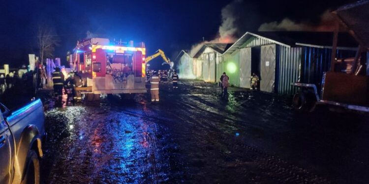 Incendio destruyó tres galpones en Río Bueno: pérdidas superan los 3 mil millones de pesos