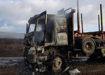 Sujetos interceptan camión y lo incendian en Collipulli: se encontraron lienzos alusivos a causa mapuche