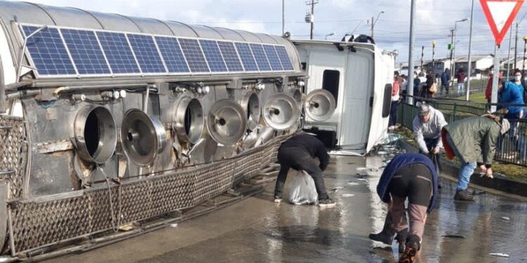 Camión que transportaba salmones vivos se volcó en Puerto Montt: transeúntes se llevaron los peces 