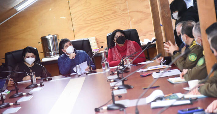 Subsecretario del Interior anunciaría mañana si se decreta estado de excepción en Los Ríos