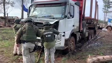 Cae organización dedicada al robo de madera en La Araucanía