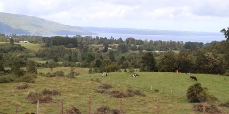 Senador Moreira critica a ministro de Agricultura por prohibición de loteos que no sean de uso agrícola