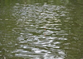 Autoridades en provincia de Osorno monitorean posible desborde de ríos en Osorno y Río Negro