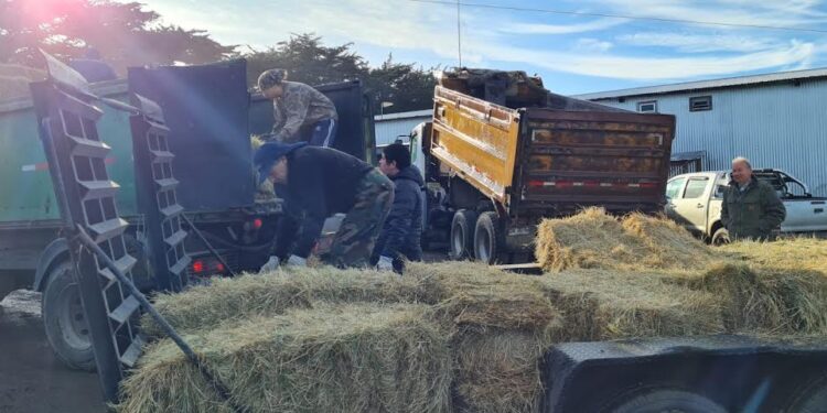 Gestionan ayuda para agricultores afectados por nevazones en la región