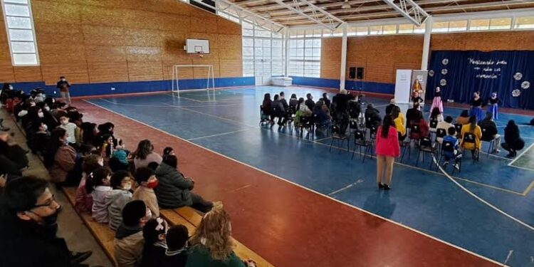 Realizan programa de educación medioambiental en escuela de Pichil