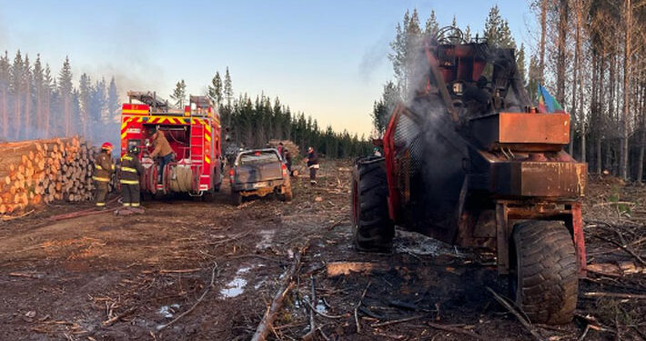 Desconocidos queman 9 máquinas en Capitán Pastene tras formalizar a Llaitul