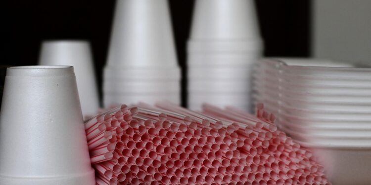 Chile se unió a coalición que busca limitar el consumo y la producción de plástico