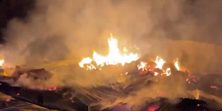 Ataque incendiario deja a una persona herida por impacto de perdigones en Cañete