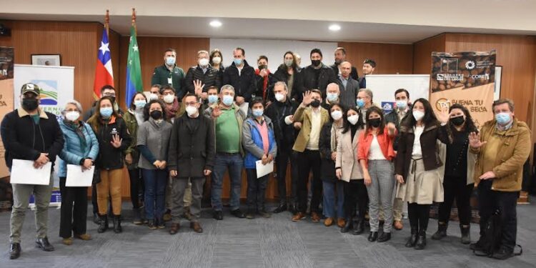Ministro de Energía visitó Puerto Montt para lanzar programa sobre leña