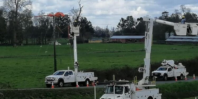 Entregan balance del servicio eléctrico tras nevada en provincia de Osorno