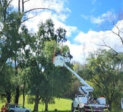 Provincia de Osorno: Continúan trabajos para reponer energía por nevazón