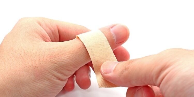 Publican artículo de estudiantes osorninos en revista científica