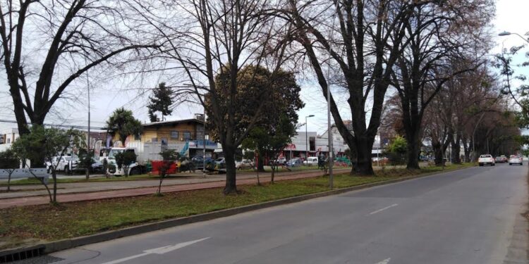 Concejal de Osorno propuso que ingreso y salida de buses sea por avenida Mackenna