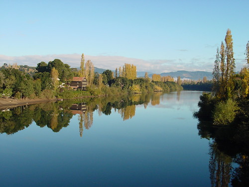 Encuentran cuerpo de adulta mayor desaparecida en Osorno