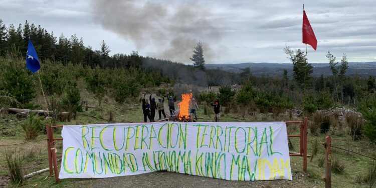 Comuneros mapuches anuncian recuperación de territorio en San Juan de la Costa