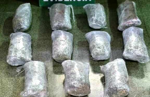 Más de 11 kilos de marihuana decomisan Carabineros de Osorno en control carretero