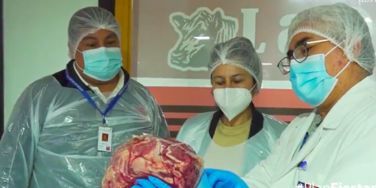 Autoridades fiscalizaron carnicerías en Osorno de cara a Fiestas Patrias