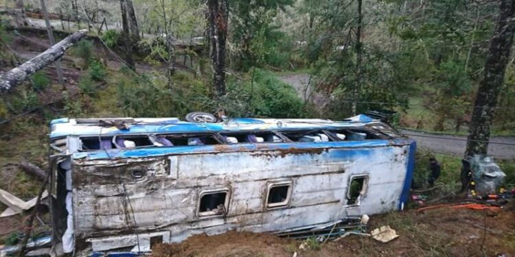 Una fallecida y 19 lesionados deja desbarrancamiento de bus en ruta U-400