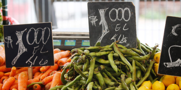 Canasta básica de alimentos registró un alza histórica de un 22% en agosto