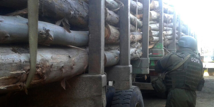 Promulgan ley que sanciona como delito grave el robo de madera&nbsp;