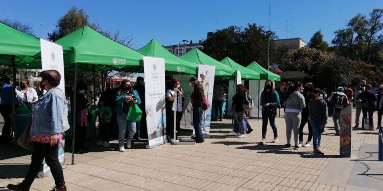 Invitan a feria vocacional para admisión a la educación superior en Osorno