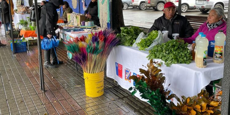 Feria de Turismo Rural se desarrolla en Osorno&nbsp;