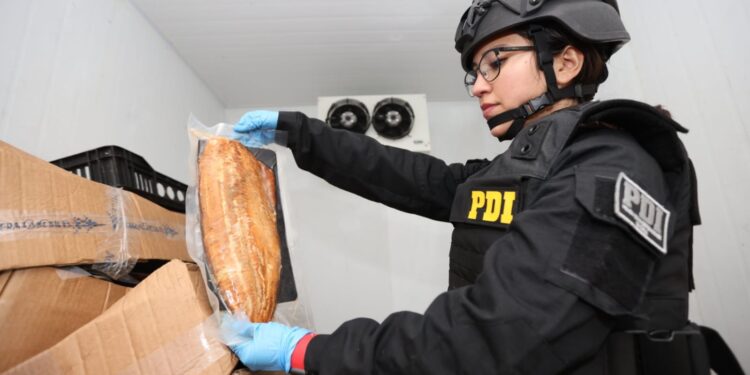Desarticulan banda que robaba y vendía salmones en mal estado en la región