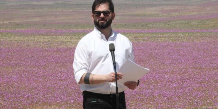 Presidente Boric declaró Parque Nacional al Desierto Florido