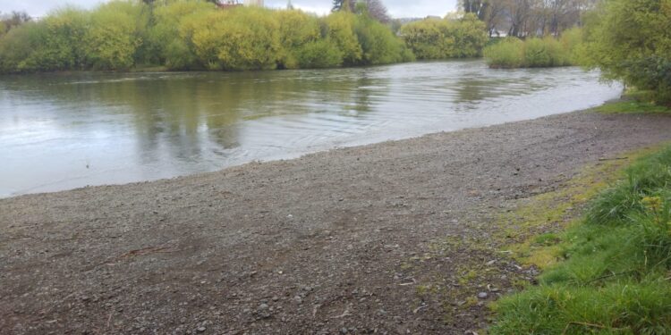 Osorno: Continúan fiscalizaciones en río Rahue y Damas por lavado de vehículos 